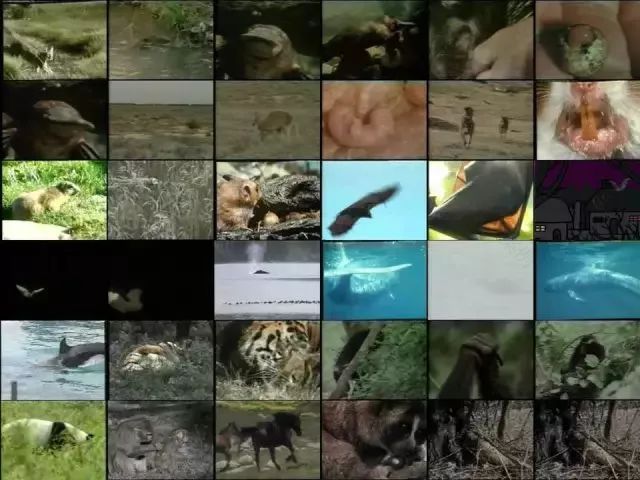 《Science》公布的 125 个最具挑战性的科学问题,你感兴趣的是哪个?-28