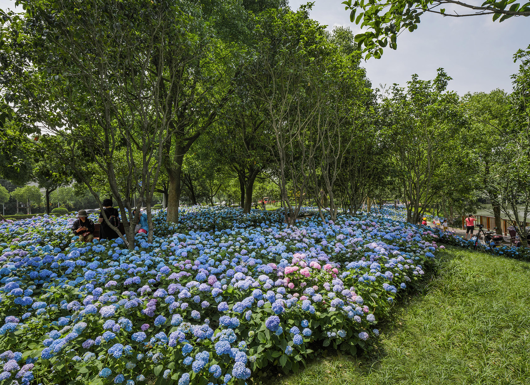 嘉兴口袋公园-56