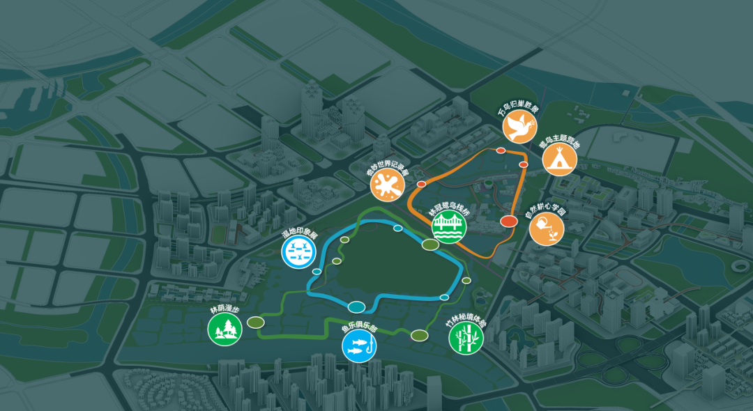 顺德鹭鸟湿地片区景观规划丨中国佛山丨AECOM-75