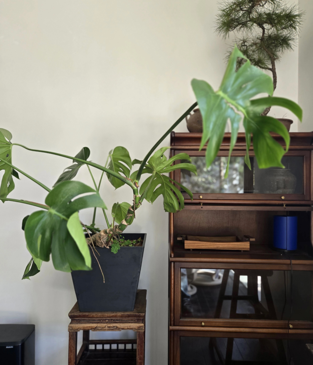 Rimadesio杭州店丨中国杭州丨安徽无向建筑-88