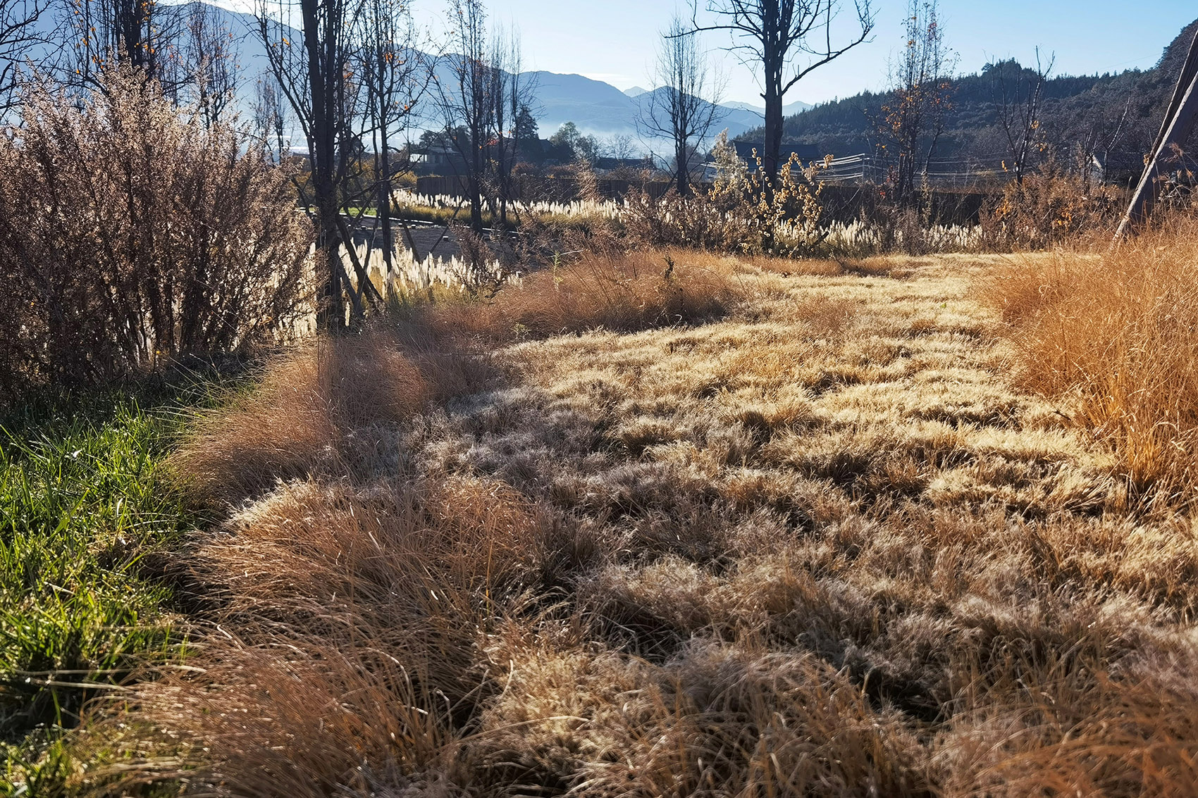 荒野花园和草甸剧场丨中国白沙丨Z’scape致舍景观-53