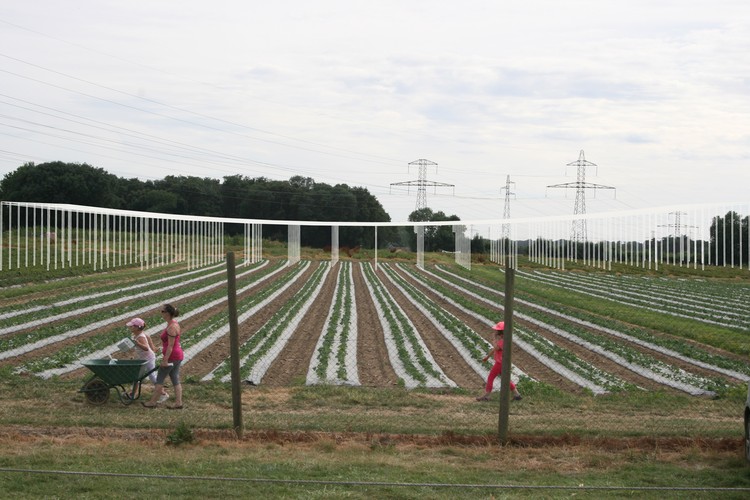 克莱芒·布朗谢建筑设计公司为法国硅谷家乐福设计的农业灵感研究中心-31
