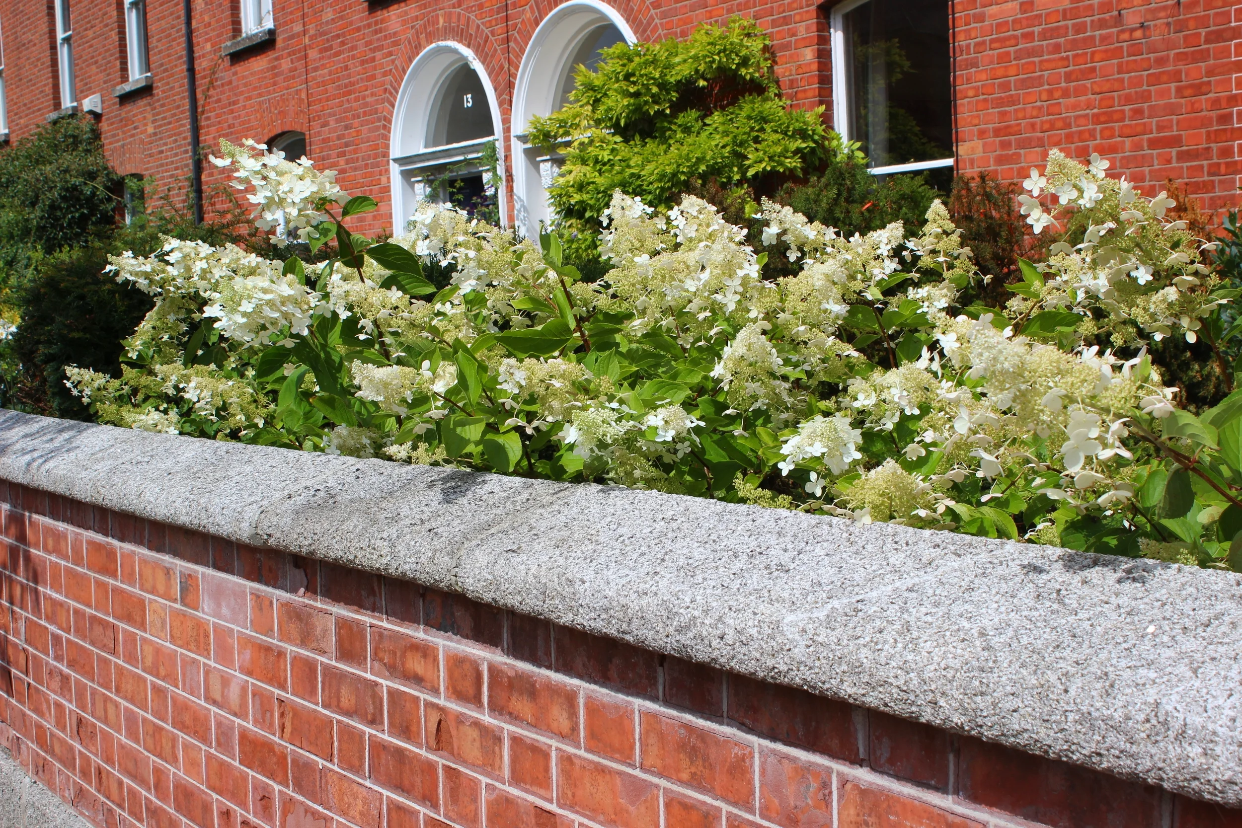 前花园花坛丨IrelandDublin-0