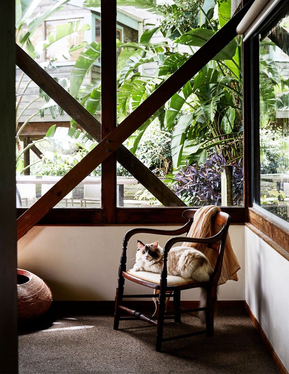 树屋家庭建造师Louella Boitel·Gill-16