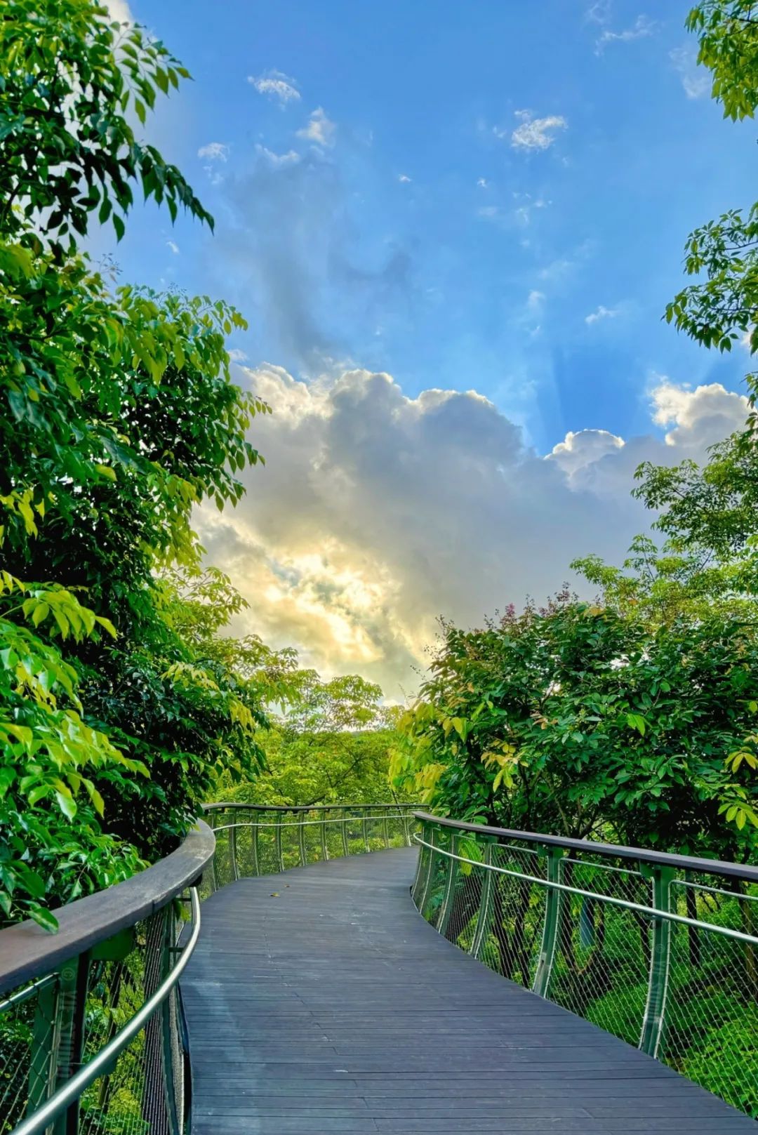 广州云萝植物园丨中国广州丨广州普邦园林股份有限公司-28