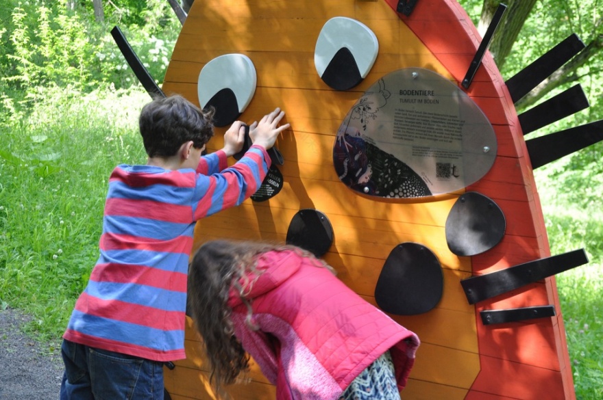 埃尔福特艾格公园知识森林丨德国丨德国雷瓦德景观建筑事务所-48