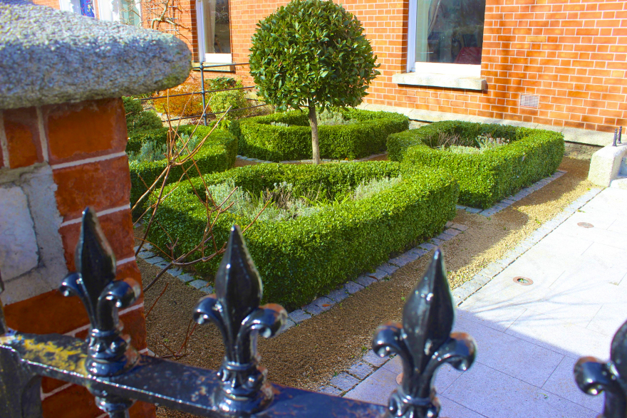 前花园花坛丨IrelandDublin-52