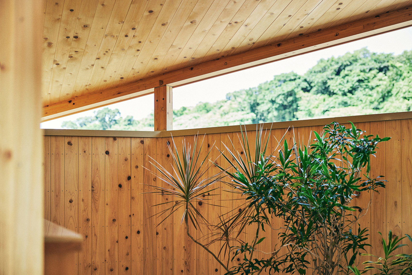 Yawn Yard 酒店丨日本冲绳丨Jo Nagasaka,Schemata Architects-48