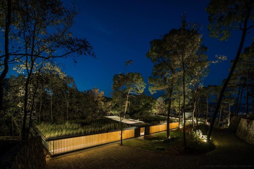 Irekua Anatani(树下的家庭住宅)-2