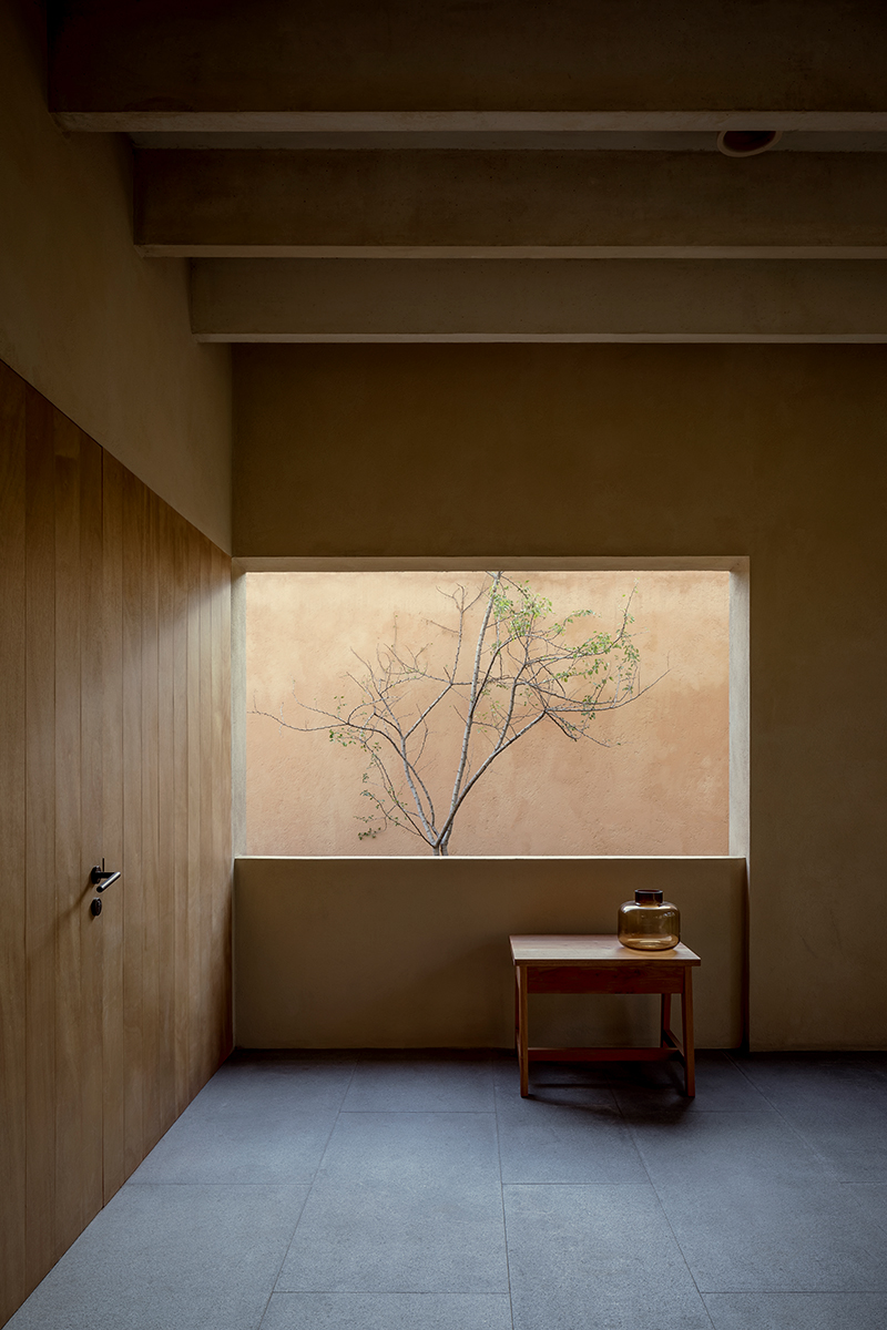 古斯曼·希门尼斯之家丨墨西哥丨Estudio Macías Peredo-13