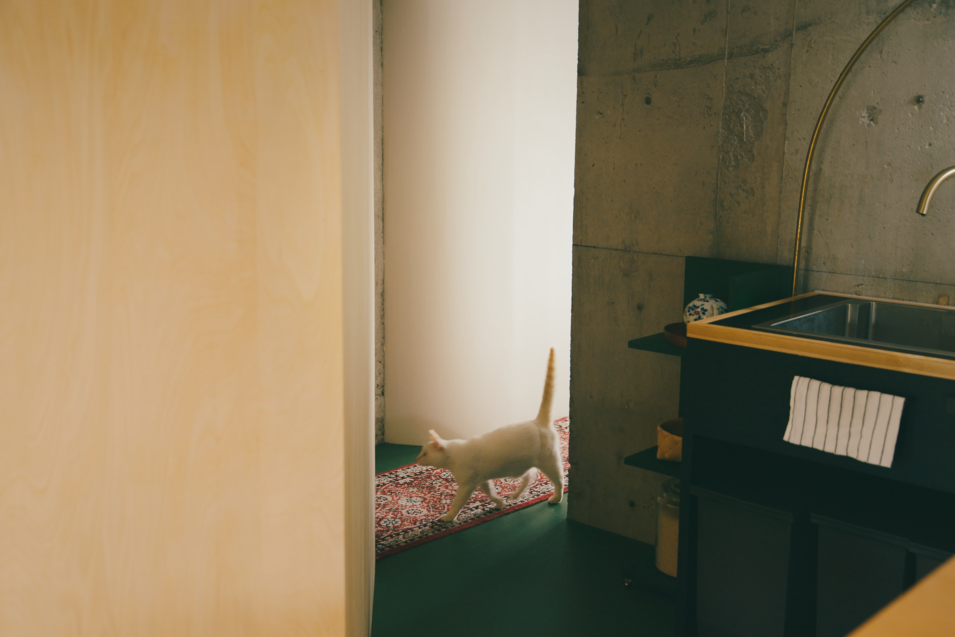 Uenogaoka的翻新丨MURO Hiroshi Atelier-11