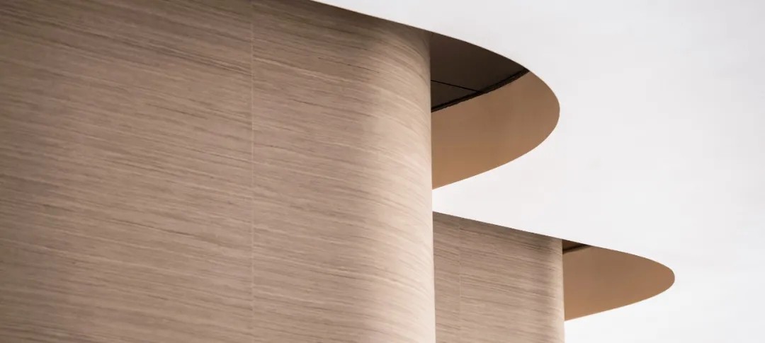 幻象森林,都市绿洲里的自然魅力-25