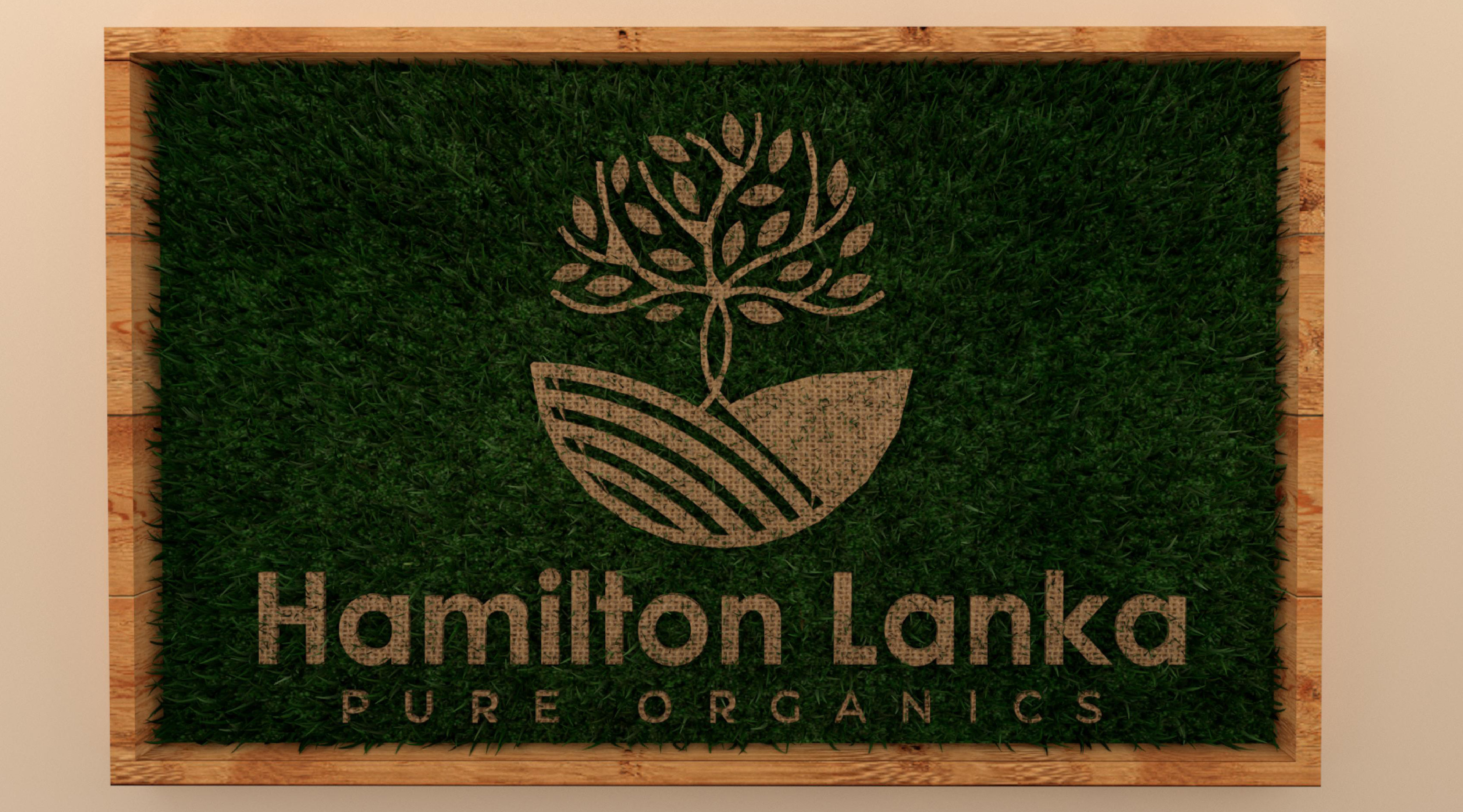Hamilton Lanka. Front Office-5