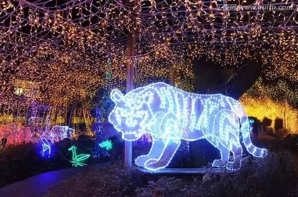 火山脚下的童话农场：阿苏农场-51