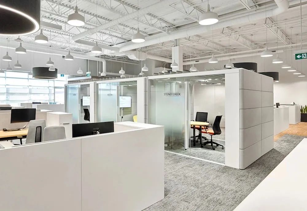 四季主题加拿大 Tandia Financial 办公室-28