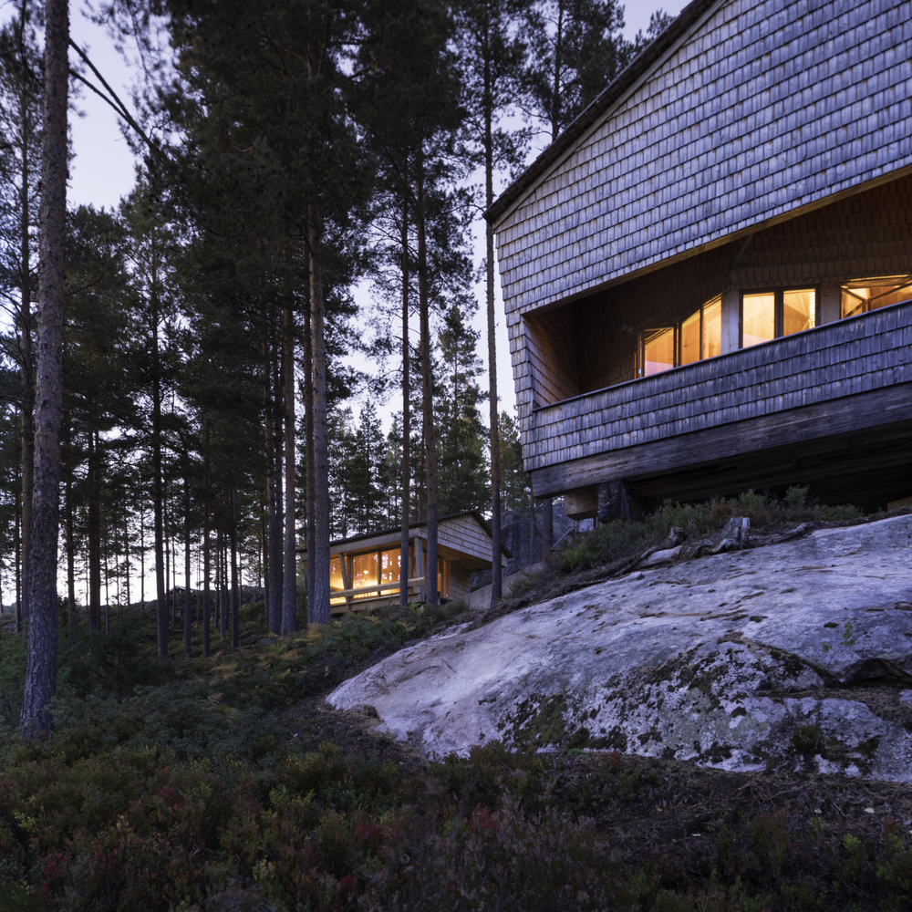 挪威杜鹃的巢室-22