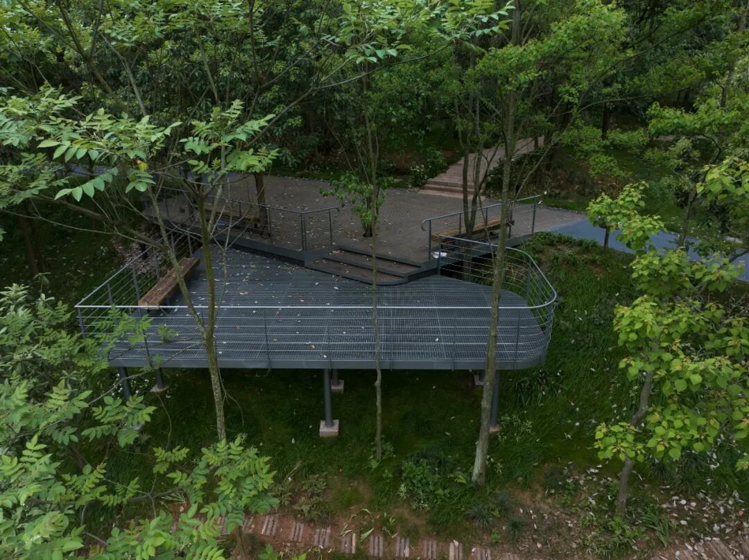 城市掌心的生态山野——麓野公园-205