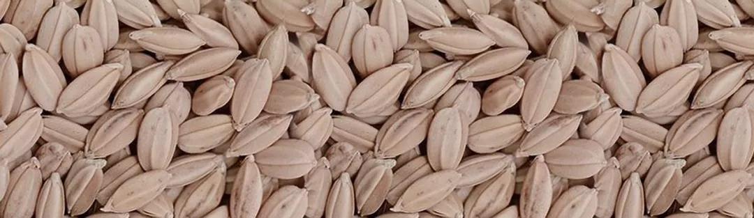 谷物大地上的销售中心 · 徽创•君泊丨中国合肥-8