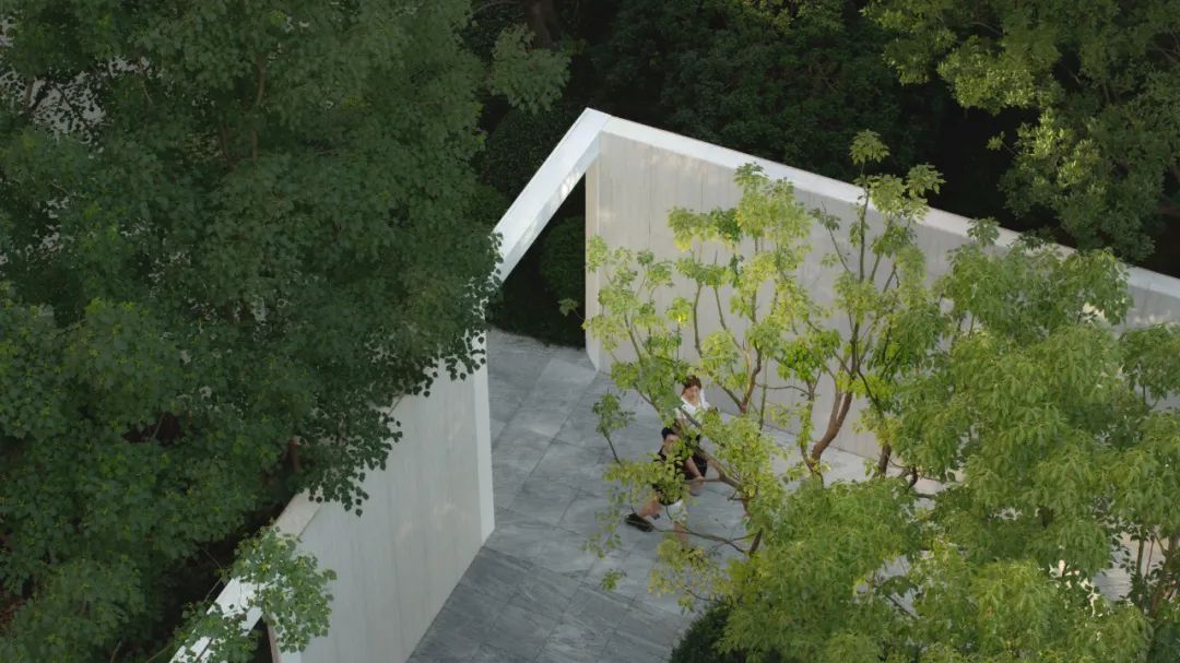 TROP|仁恒海上源大区--纵横光影海上森林-28