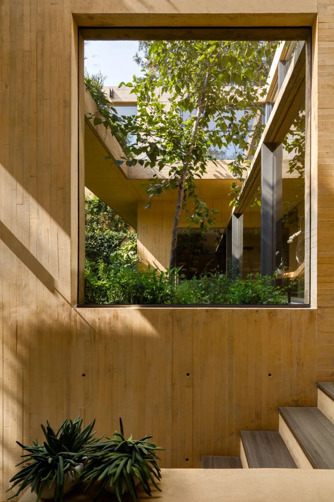 Progreso 地质博物馆与 CRA 住宅丨墨西哥丨Estudio MMX-126