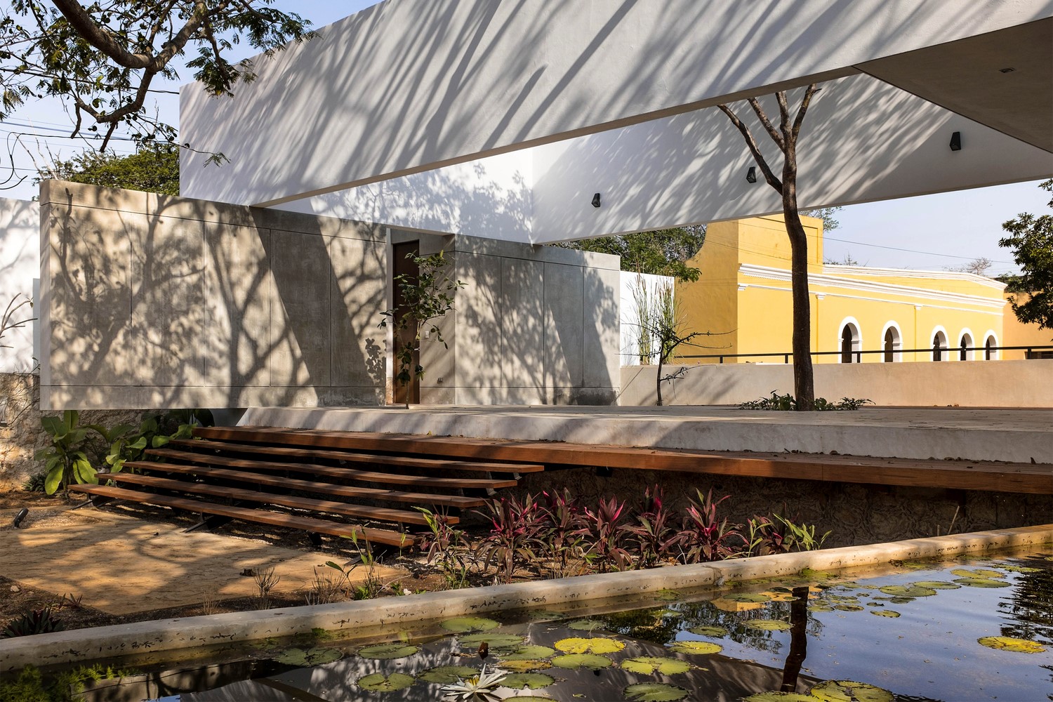 "Pich"树之屋 | 共享绿意,融入城市-1