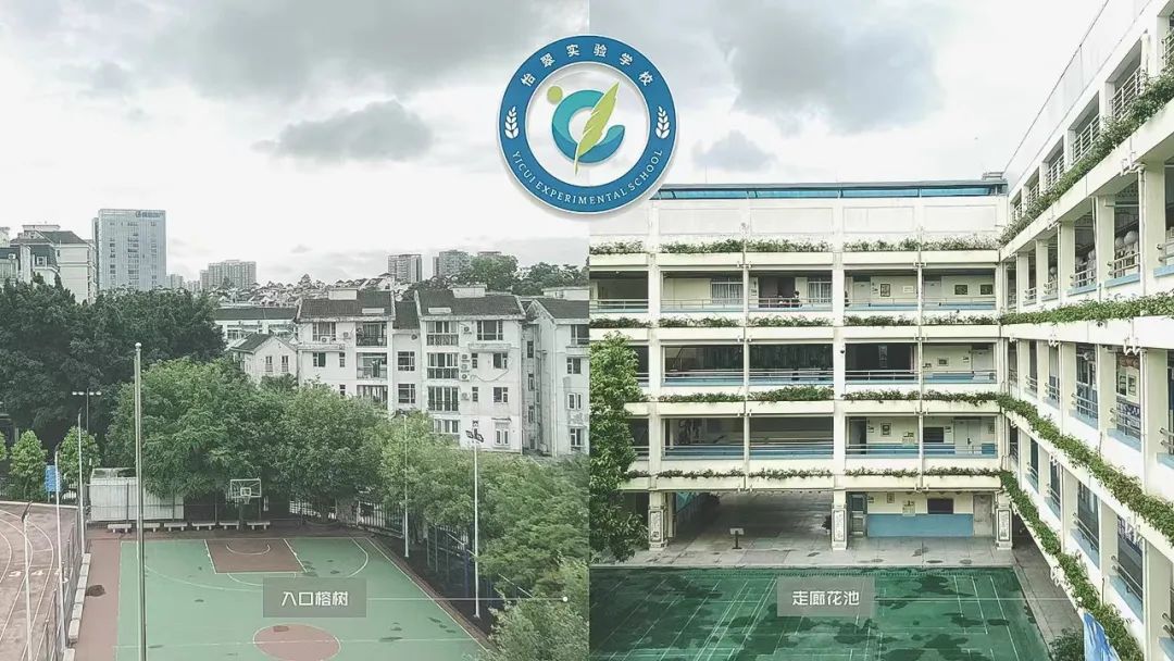 吉华街道怡翠实验学校改扩建工程丨中国深圳丨中国建筑西南设计研究院有限公司-4