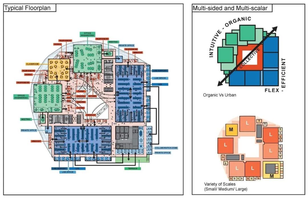 发现伙伴研究所丨OMA-6