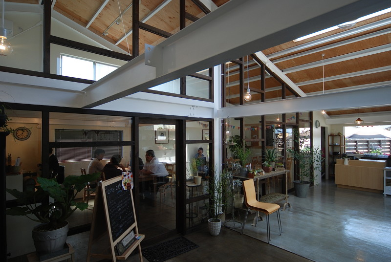 cotyledon #122  多肉植物専門店+カフェ丨日本宫崎丨有限会社COGITE-12