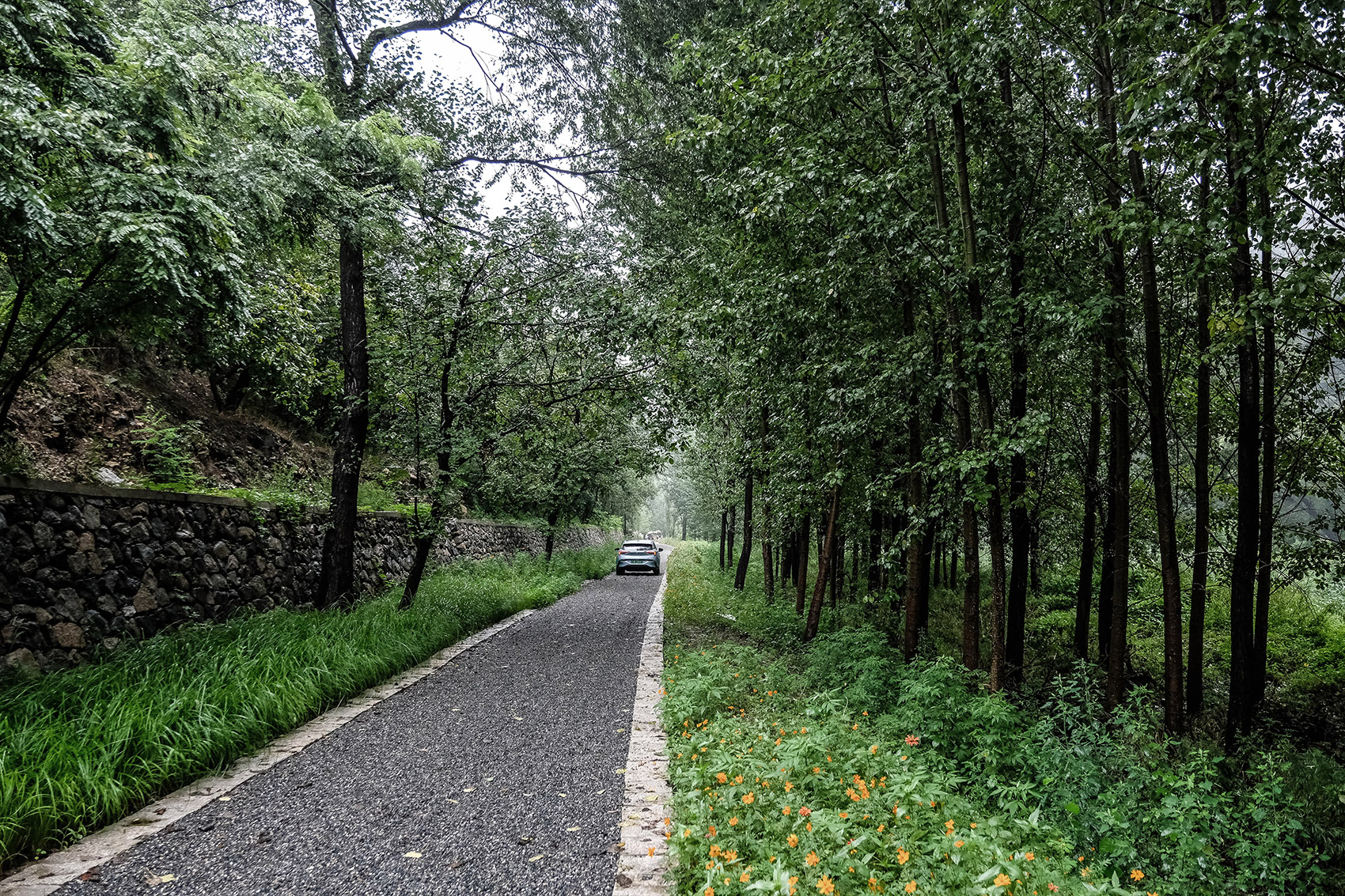 北京怀柔渤海镇栗花溪谷风景丨中国北京丨九源（北京）国际建筑顾问有限公司-26