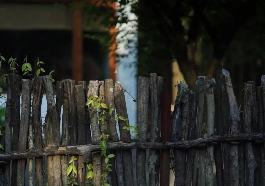 农村小院,生活的理想-37