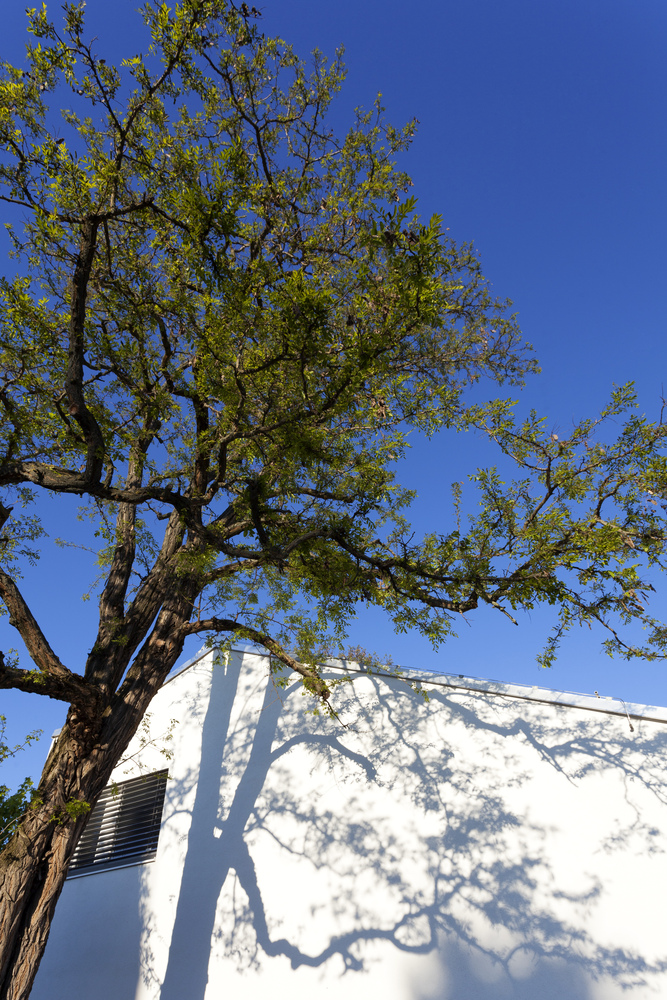 斯洛伐克小村庄里的绿色环保之家-34