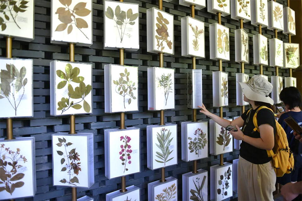 广州云溪植物园环境提升工程整体景观设计丨中国广州丨AECOM,广州园林建筑规划设计研究总院等-99