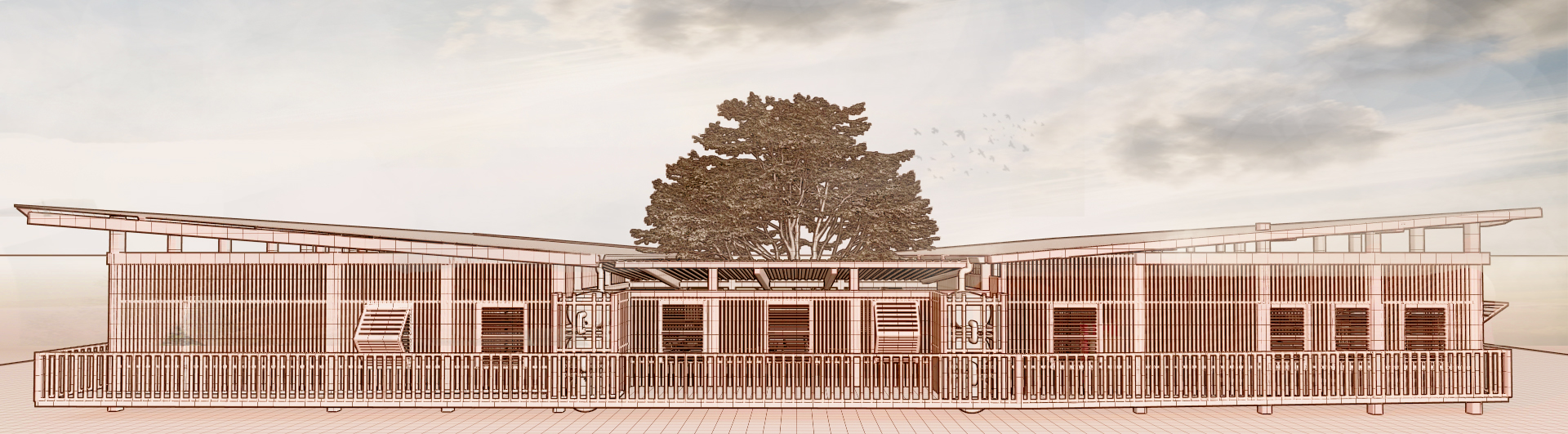 塞内加尔小学竞赛-16