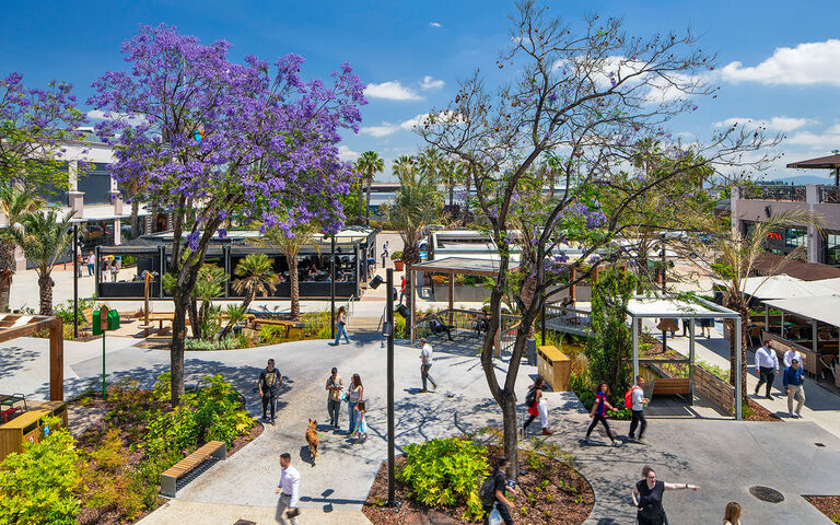 丨西班牙丨Broadway Malyan-23