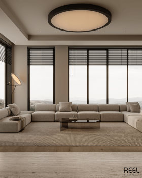 Modern Living Room , dining and office