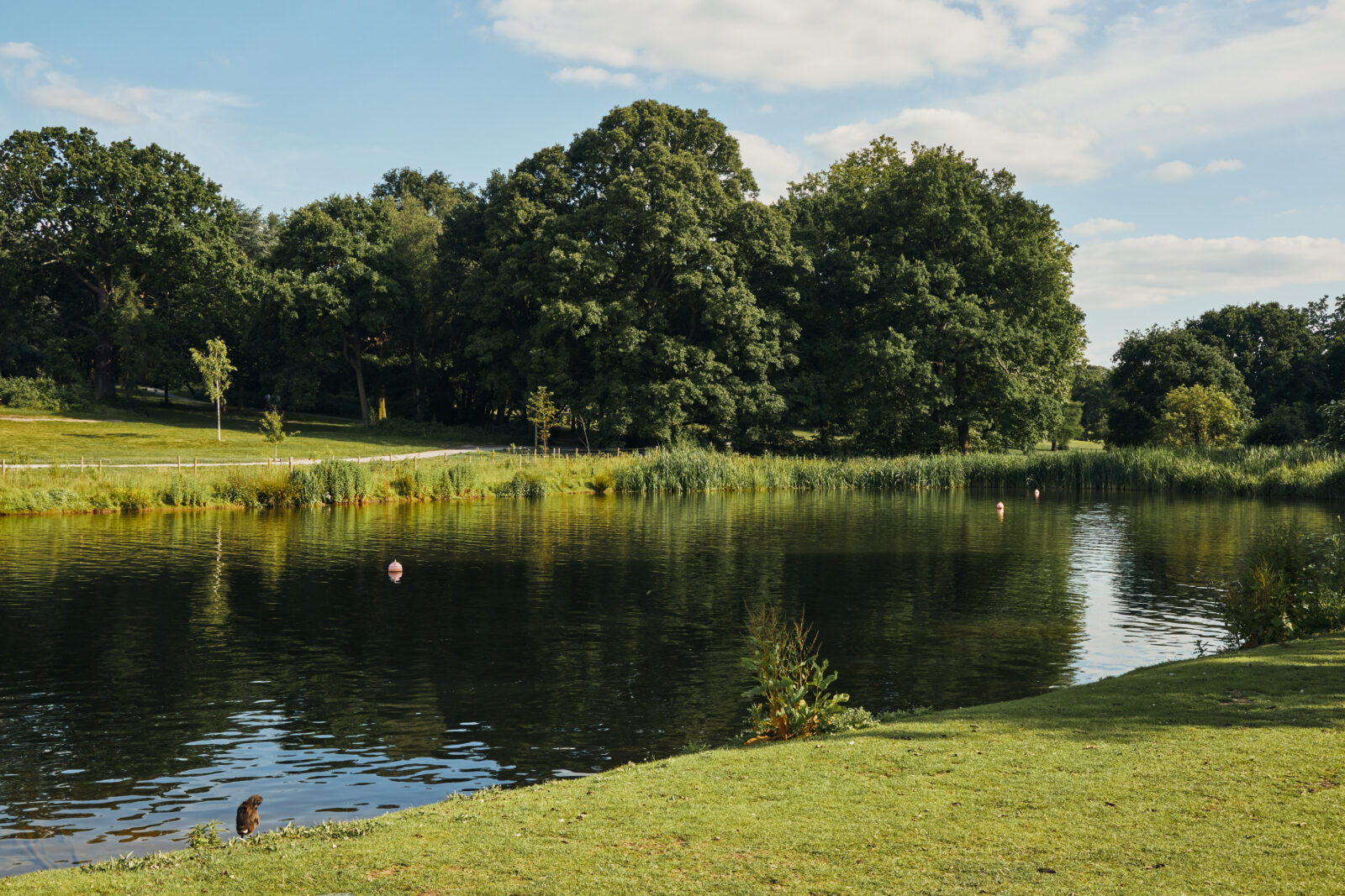 Take a Dip: London’s best swimming spots - from lakes to lidos | Journal | The Modern House-13