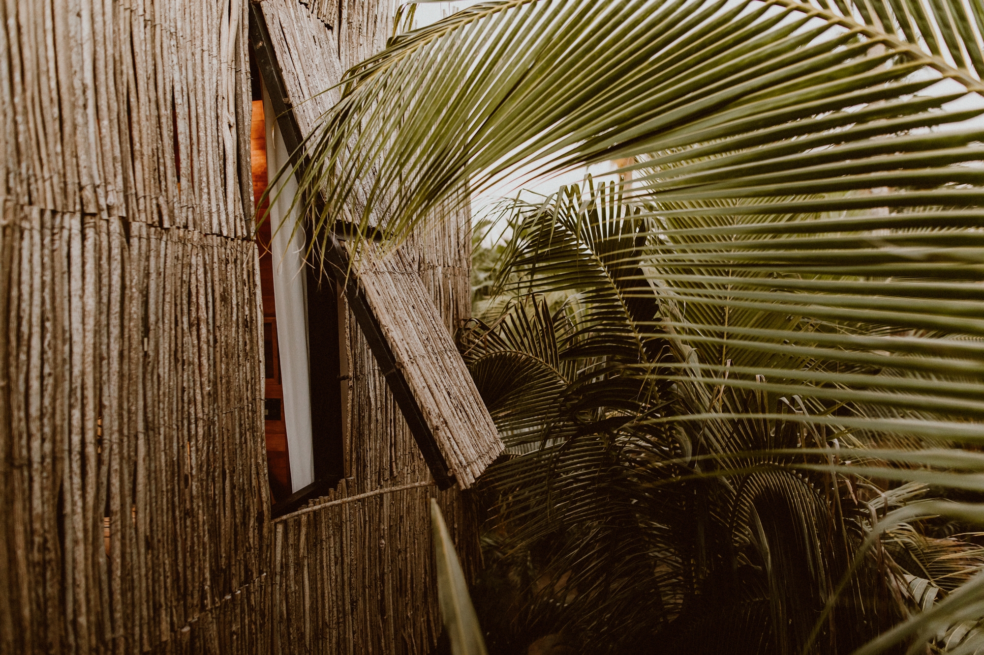 Tree Houses in Acre / FabrikG-18