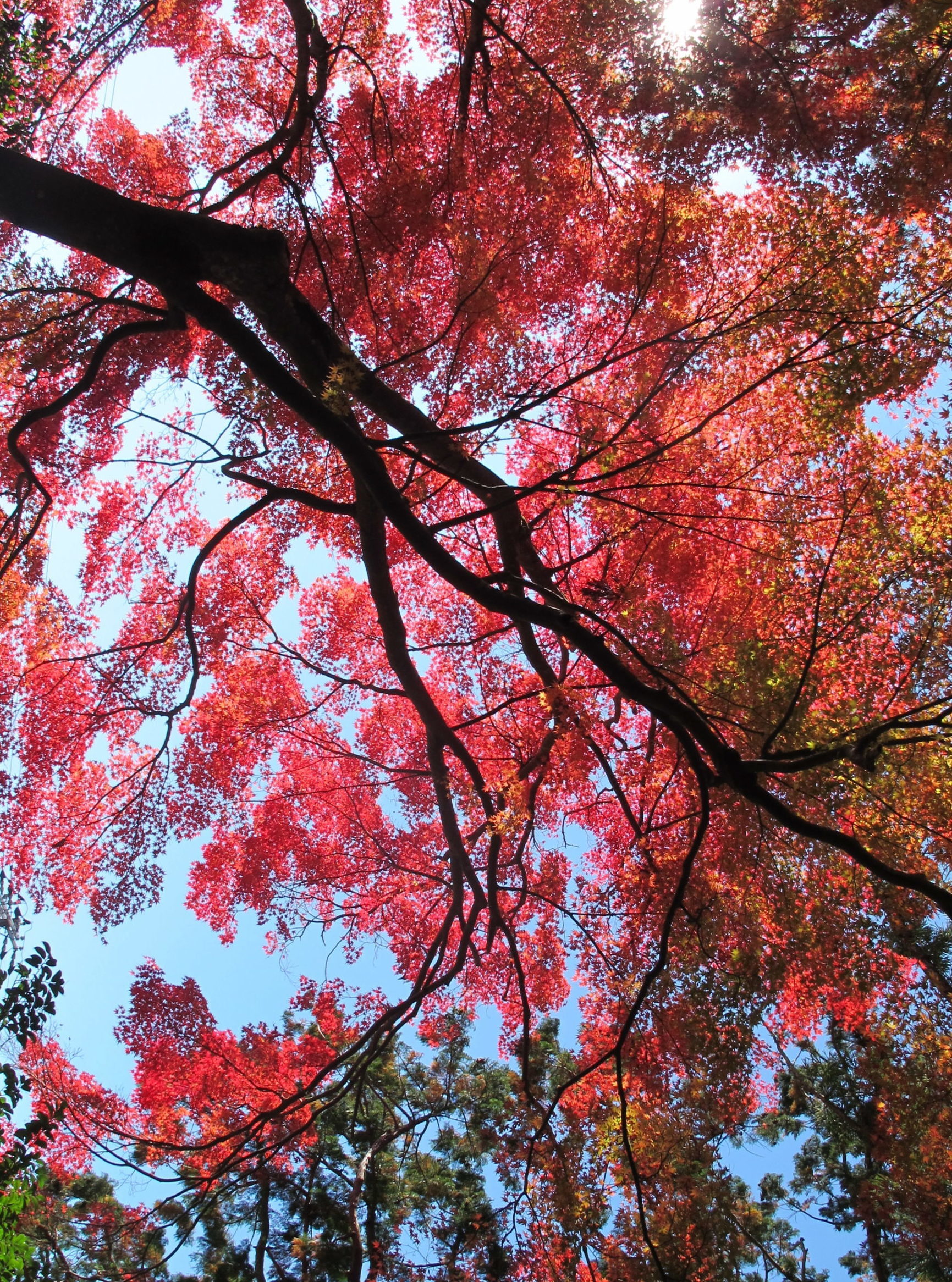 和歌山 伦德哈格姆

注：Wakayama常见为人名或地名和歌山 ；lundhagem可能是人名或特定地名，由于缺乏更多背景信息，按音译处理 丨日本和歌山丨Lund Hagem Arkitekter AS-17