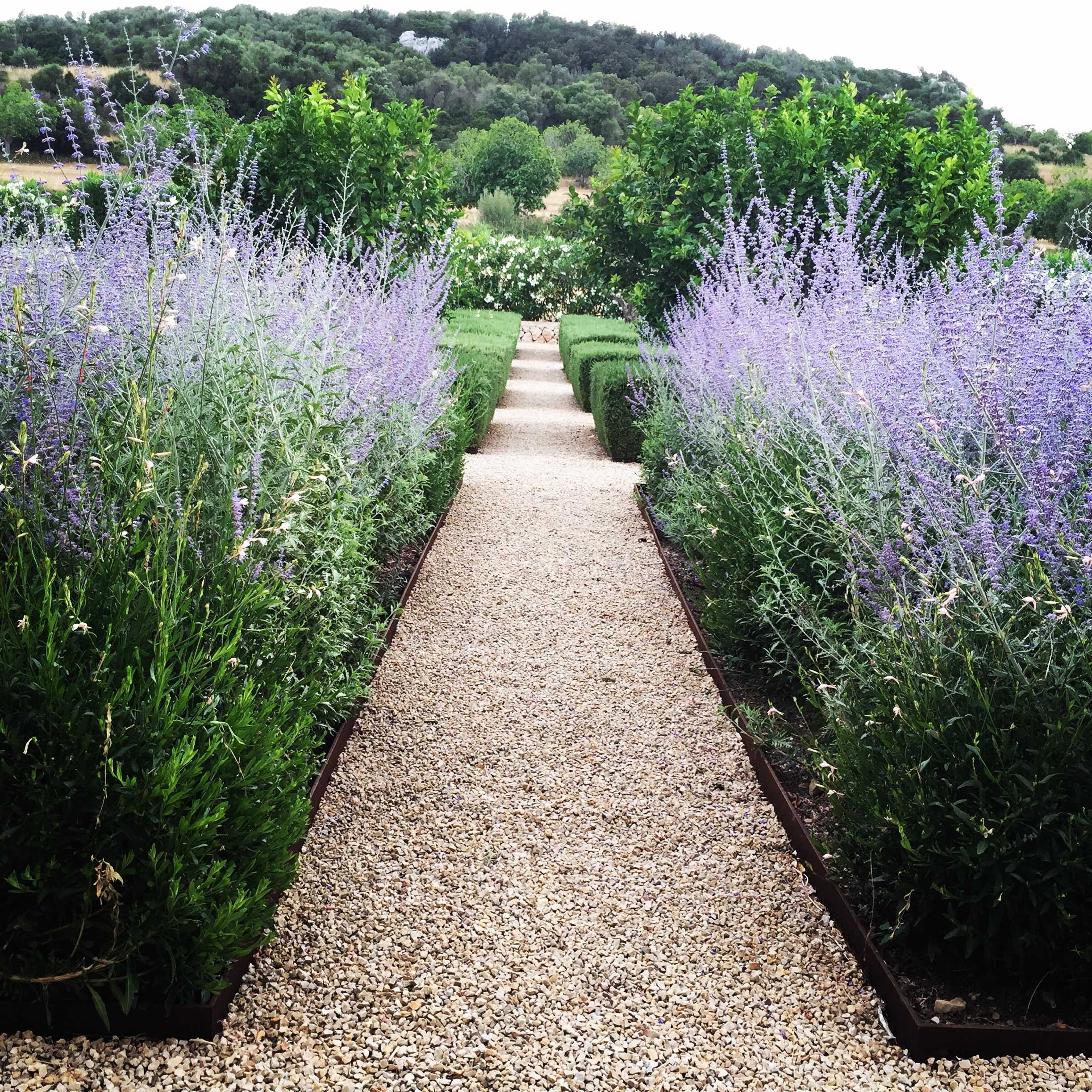 炼金术花园 | 橄榄树、小麦与柑橘的现代景观设计-5