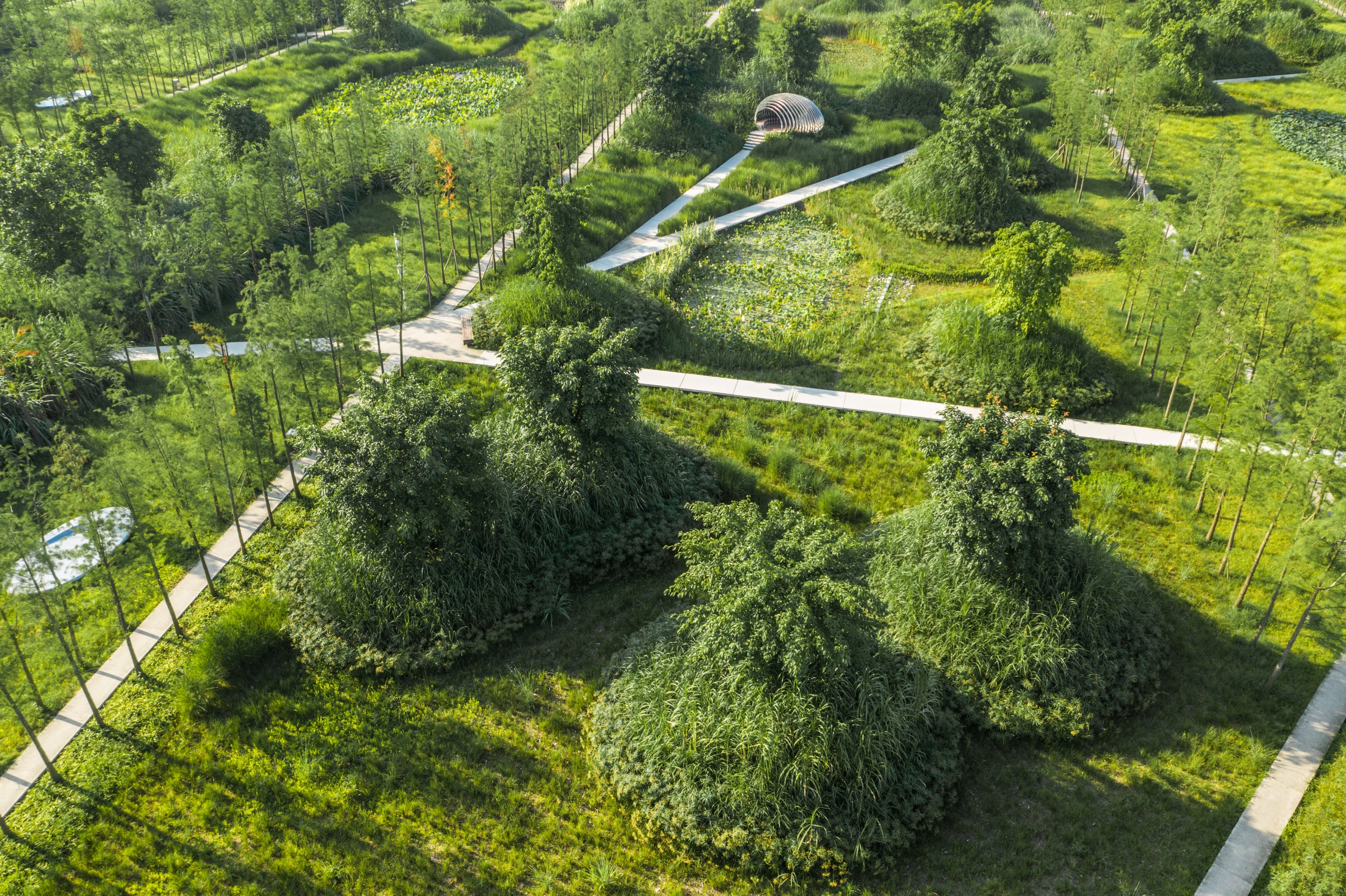 西安雁南公园（二期）丨中国西安丨土人设计（Turenscape）-153