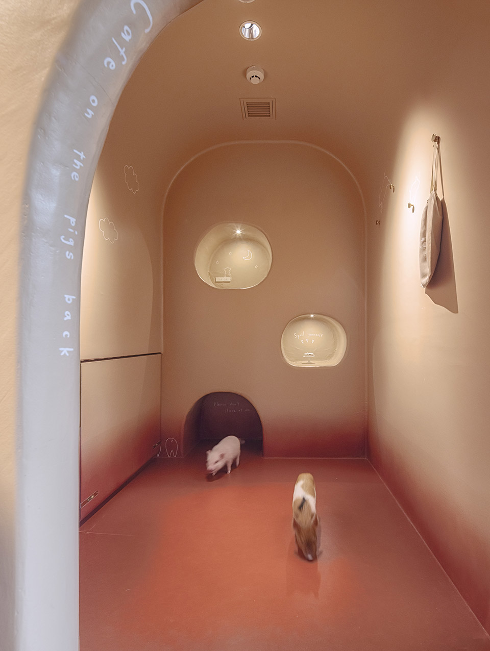 东京 Pignic 咖啡厅丨日本东京丨KAMITOPEN-13