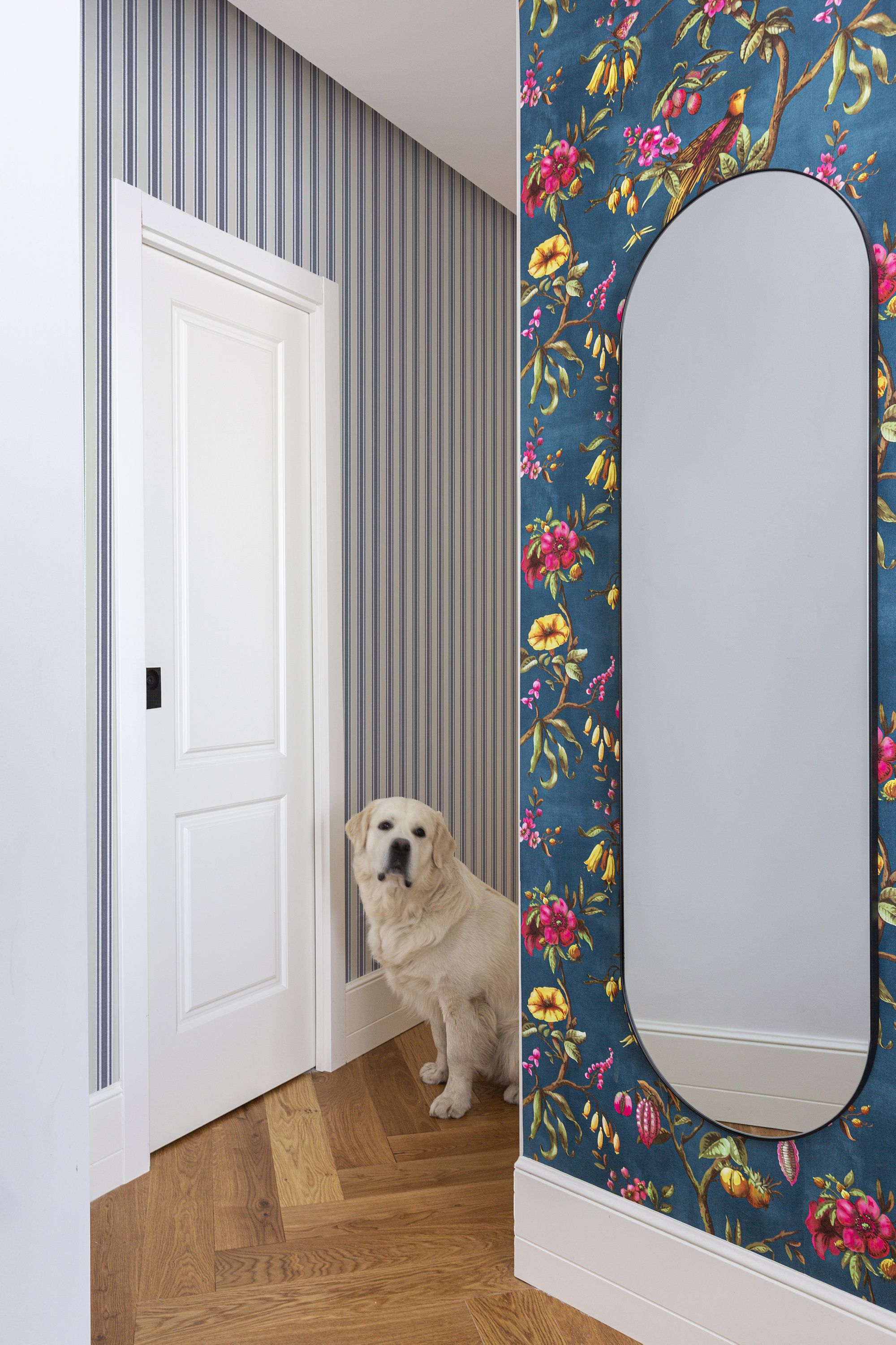 色彩斑斓的马德里公寓 | 绿与蓝的完美融合-14