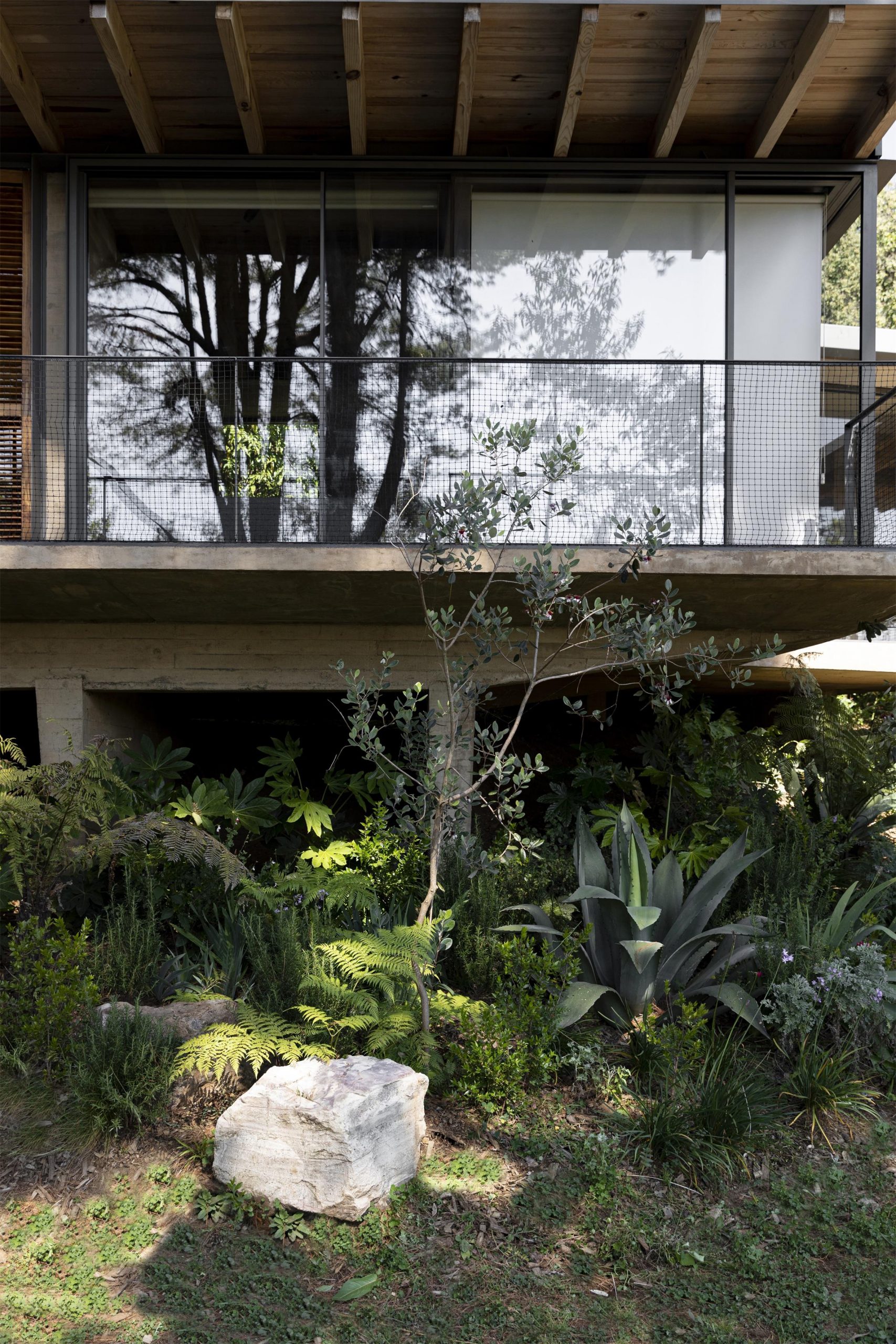 墨西哥森林花园-34