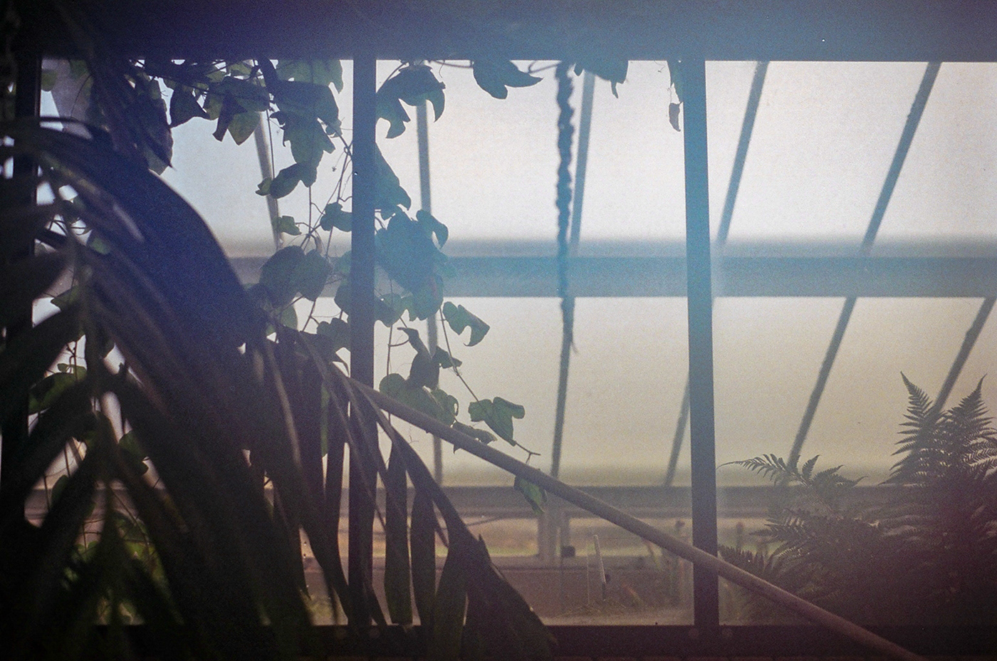 London 2020 | Minolta 33mm-7