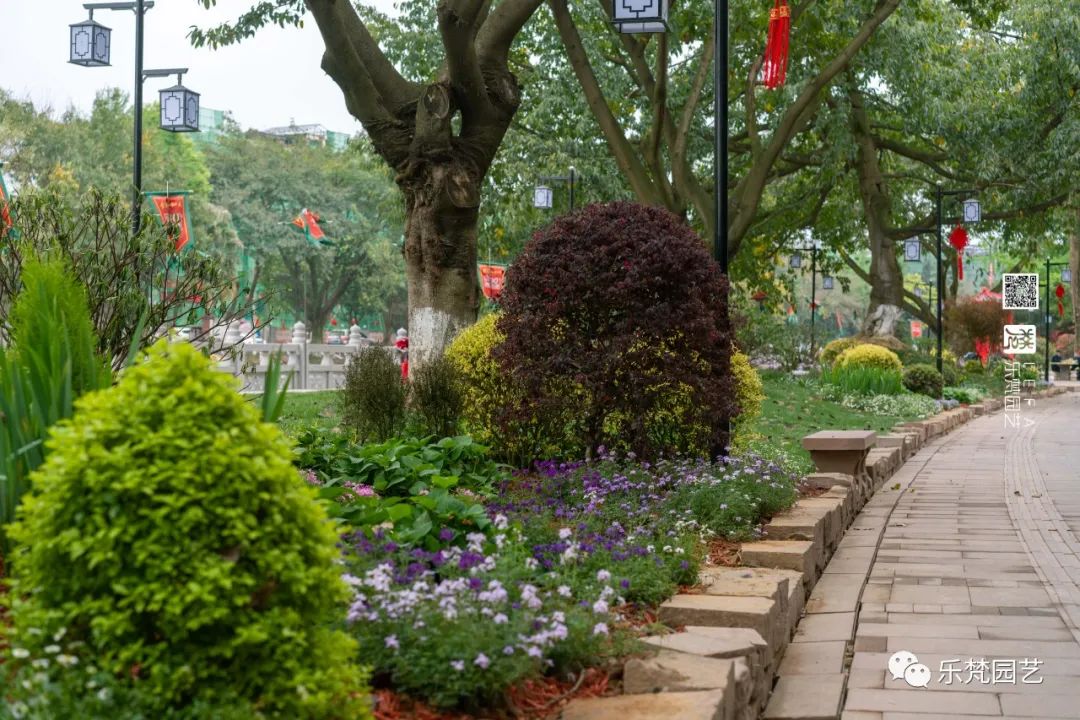 丹棱春色 · 古韵新颜,漫山幸福花开丨中国眉山丨乐梵-28