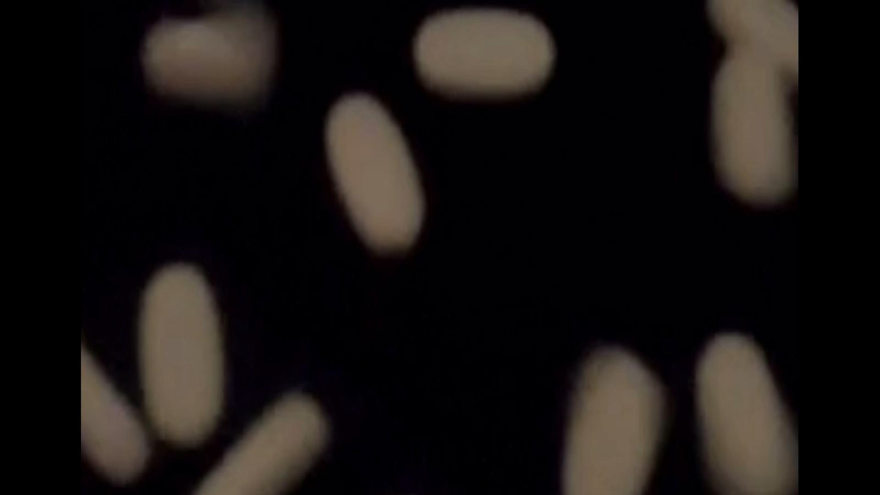 赋能未来创业者-11