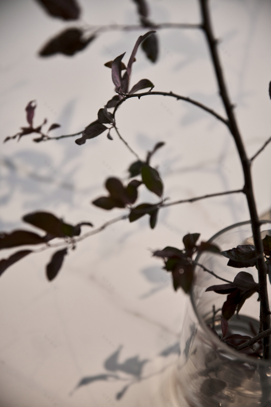 若珠丨中国浙江丨力设计-5