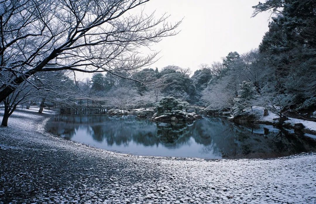 日本庭园艺术 | 传统与现代的完美结合-24