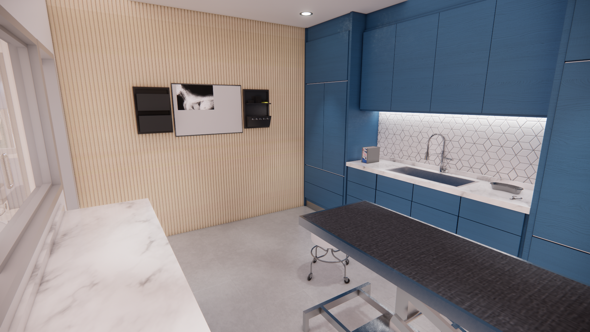 Veterinary & Animal Shelter Project Proposal-9