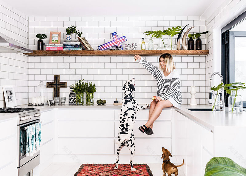 活力澳洲现代设计-8